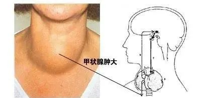 微信圖片_20220513092000.jpg 微信圖片_20220513092000.jpg