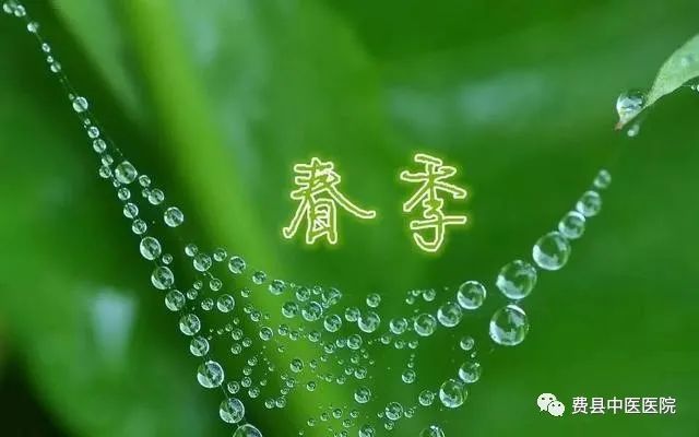 最後,不少人在春天到來.jpg 最後,不少人在春天到來.jpg