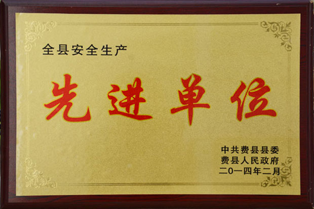 全縣安全生産先進單位