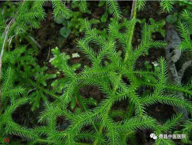 1532139786120532.png image.png