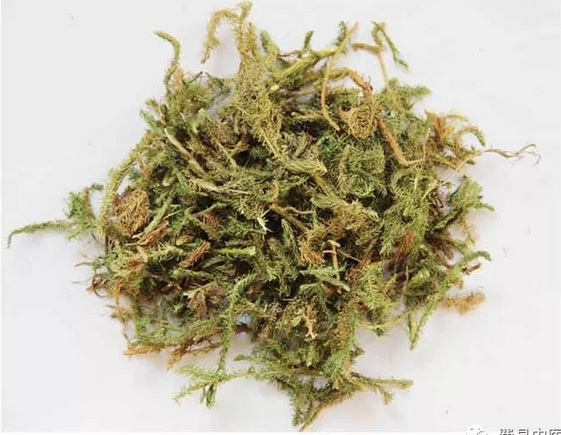 1532139799571591.png 1532139799571591.png